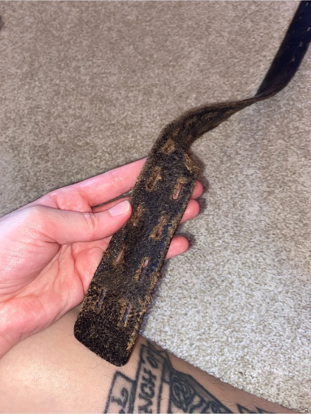 Fossil Full Grade Cowhide Brown Belt